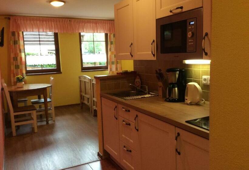 Студия Стандарт, Penzion Major