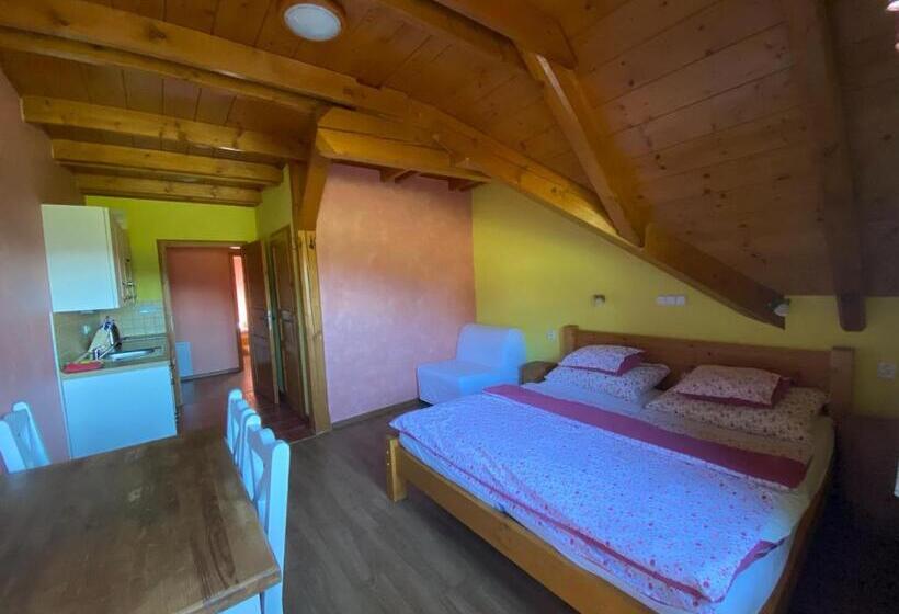 Family flat with balcony, Penzion Major