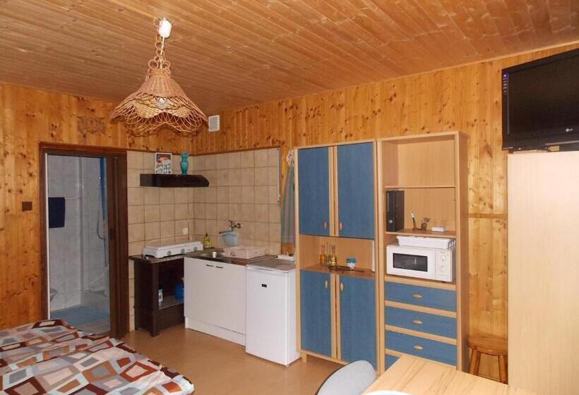 标准工作室, Ubytovani U švýcarů