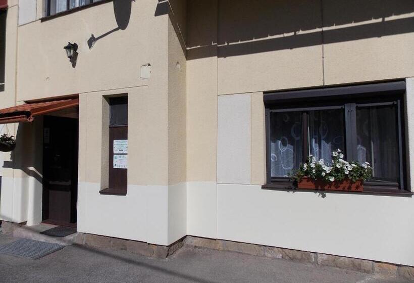 Студия Стандарт, Ubytovani U švýcarů