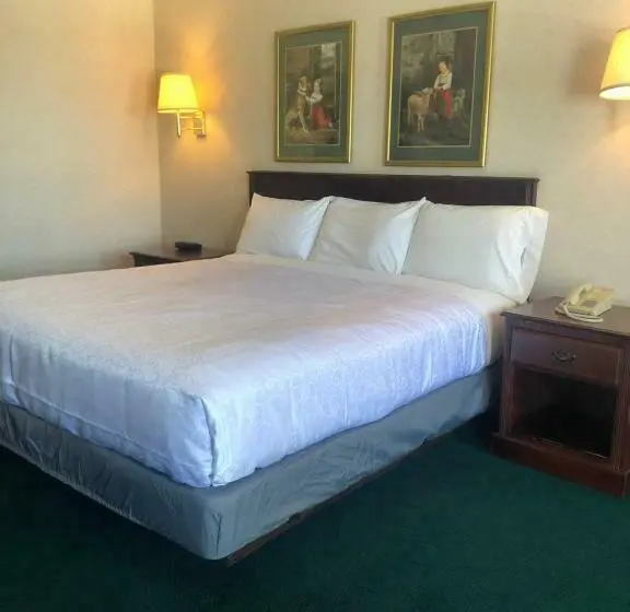 キングサイズベッドのデラックスルーム, Osage Village Inn