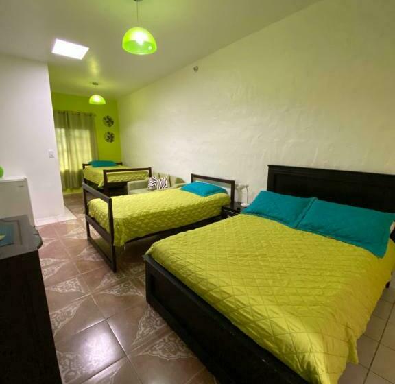 Family Suite, Zurisadai