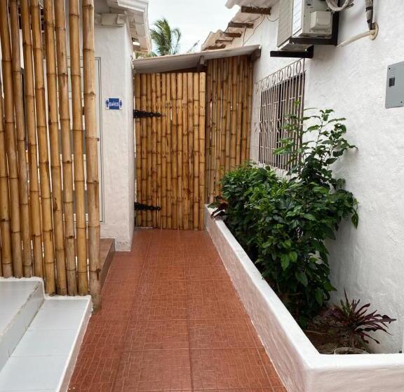 Номер Basic, Zurisadai