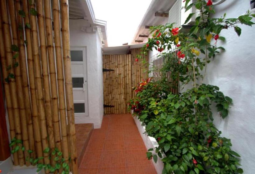 Номер Basic, Zurisadai