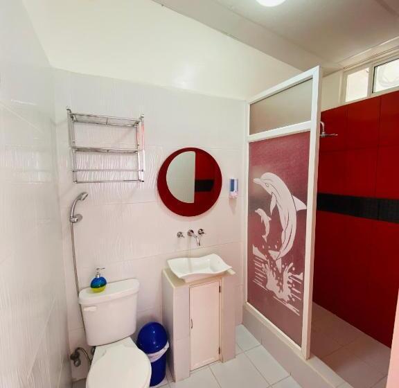 Номер Basic, Zurisadai