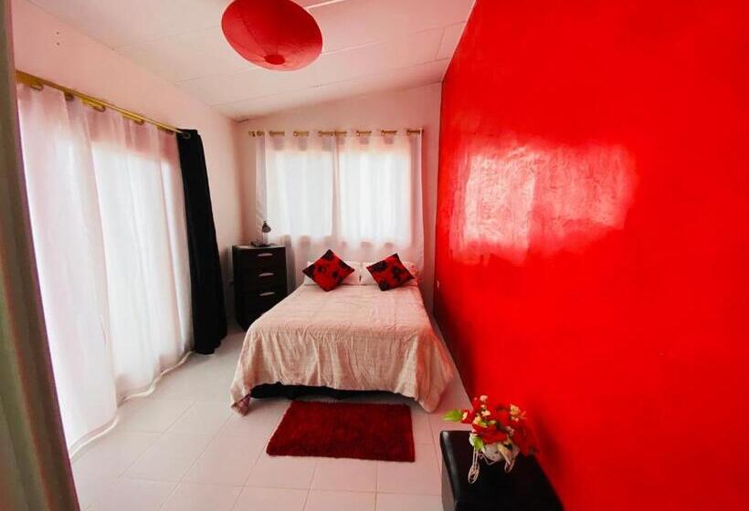 Номер Basic, Zurisadai