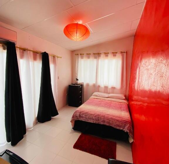 Номер Basic, Zurisadai