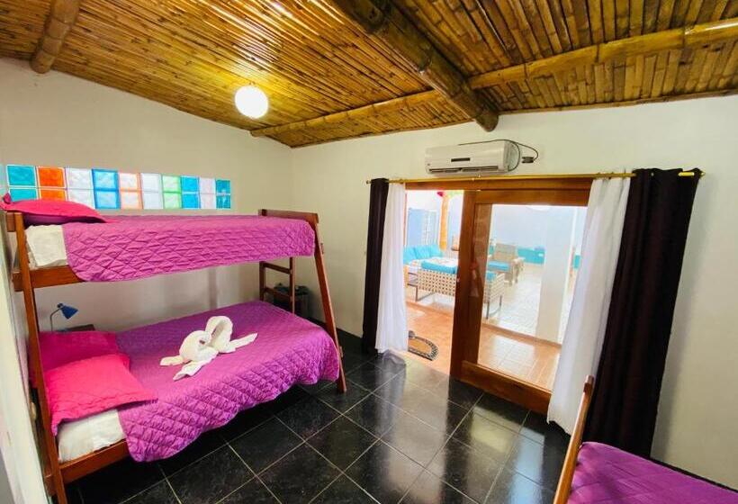 Четырехместный Номер Стандарт, Zurisadai