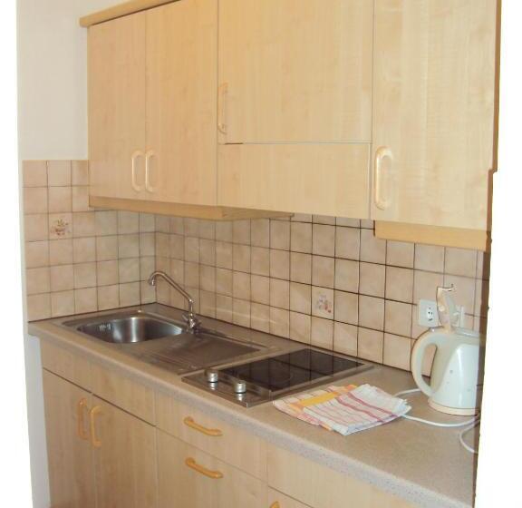 バルコニー付き1ベッドルームアパートメント, Residence Krone