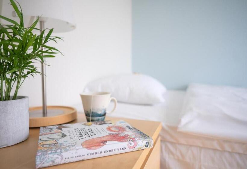 شقة غرفتين مطلة على البحر, Runde Miljøsenter & Opplev Runde