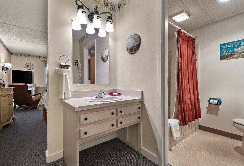 Студия Стандарт, Country Living Inn