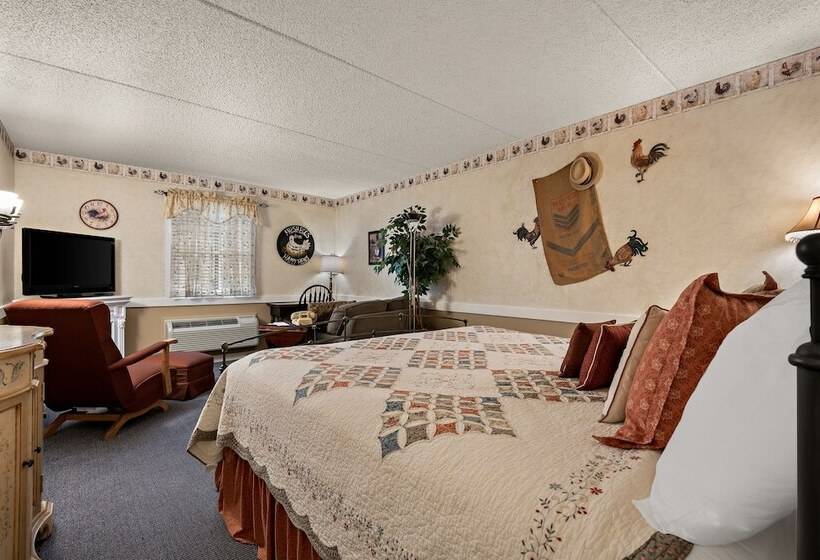 Студия Стандарт, Country Living Inn