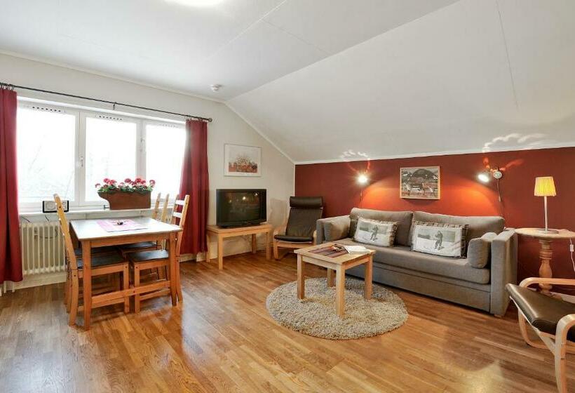شقة غرفة واحدة, Gästhuset I åre