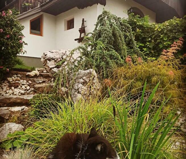 آپارتمان 2 خوابه با بالکن, Apartments Skok