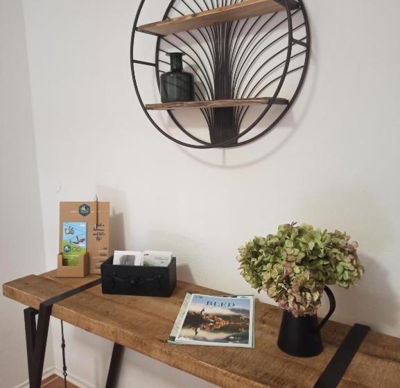 آپارتمان 2 خوابه, Apartments Skok