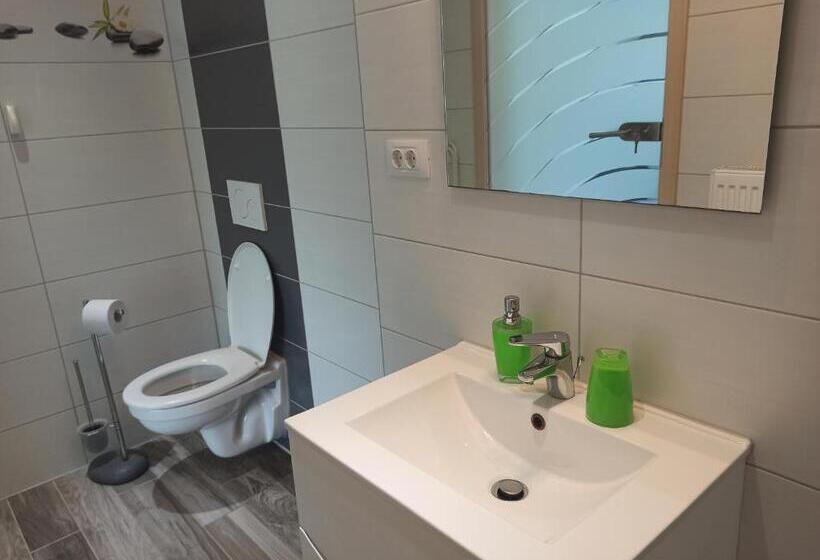 اتاق استاندارد, Apartments Skok