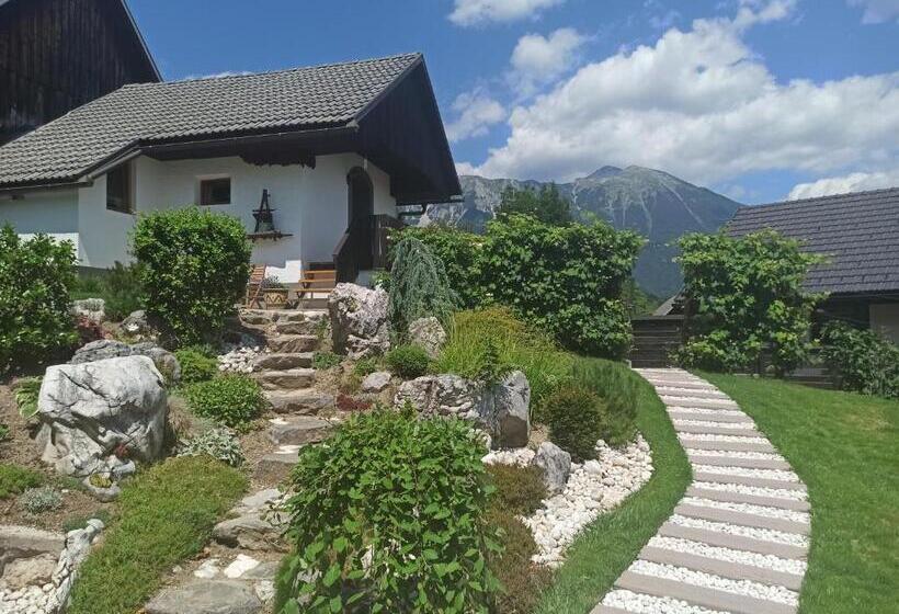 استودیو استاندارد با بالکن, Apartments Skok