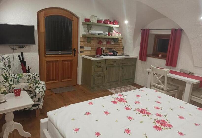 استودیو استاندارد با بالکن, Apartments Skok