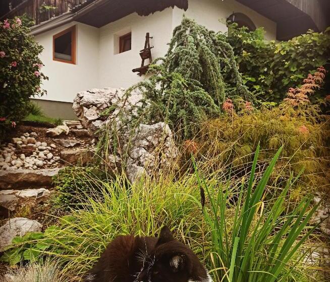 استودیو استاندارد با تراس, Apartments Skok