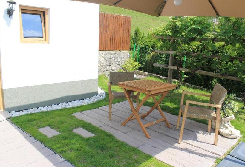 استودیو استاندارد با تراس, Apartments Skok