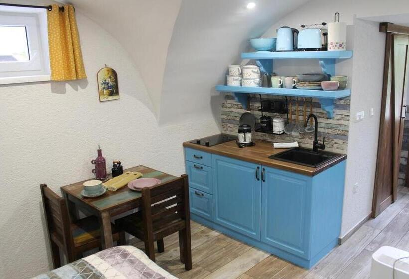 استودیو استاندارد با تراس, Apartments Skok