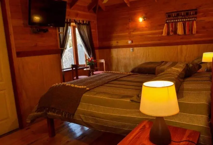 اتاق استاندارد چهار تخته, Hostal Pucon Sur
