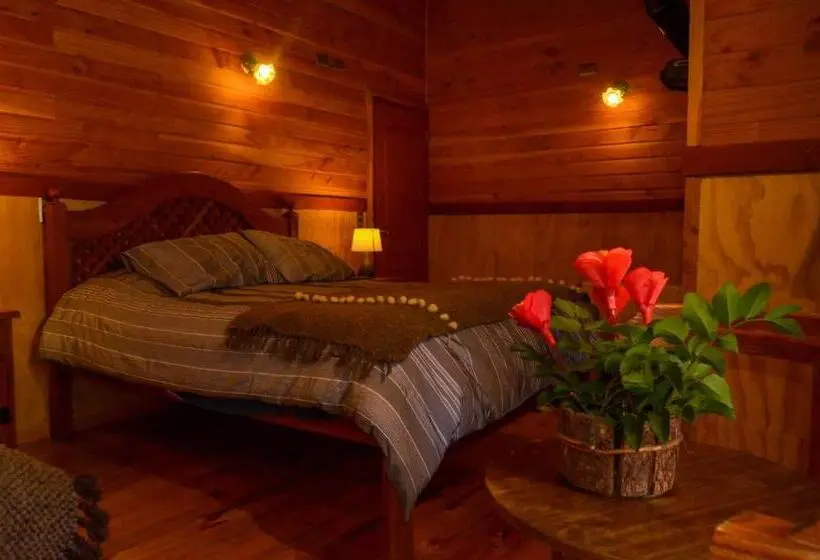 اتاق استاندارد چهار تخته, Hostal Pucon Sur