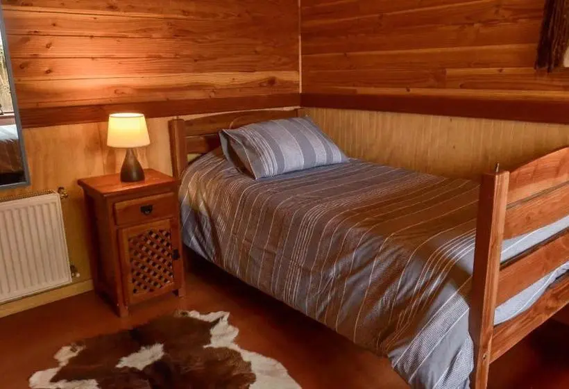 اتاق عادی یک تخته, Hostal Pucon Sur