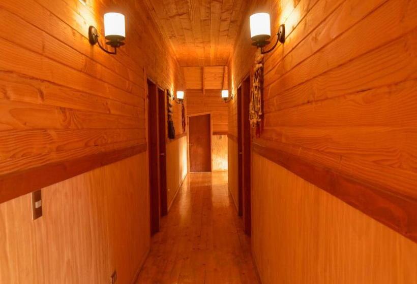 Одноместный Номер Basic, Hostal Pucon Sur