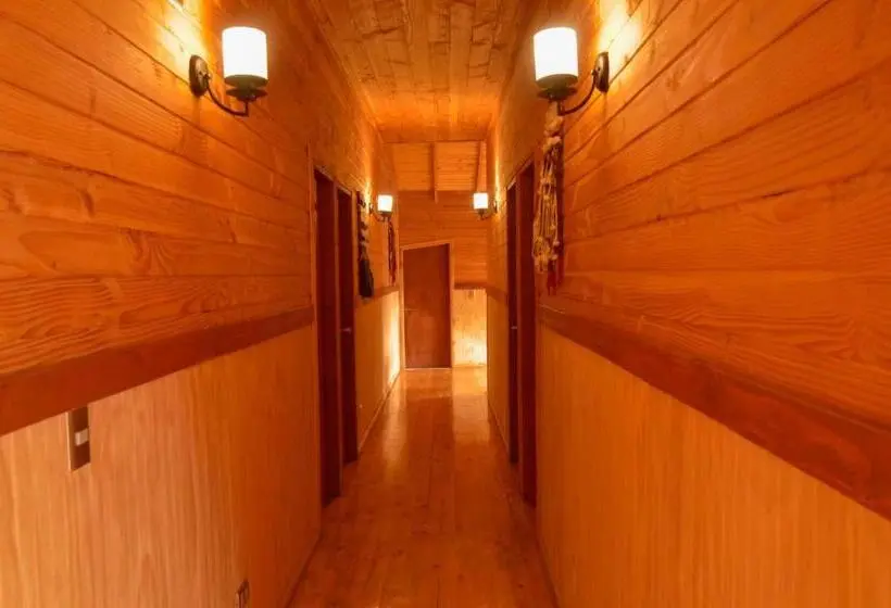 اتاق عادی یک تخته, Hostal Pucon Sur