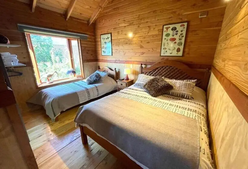 اتاق استاندارد, Hostal Pucon Sur