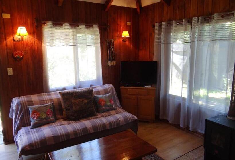 Дом 3 Спальни, Hostal Pucon Sur