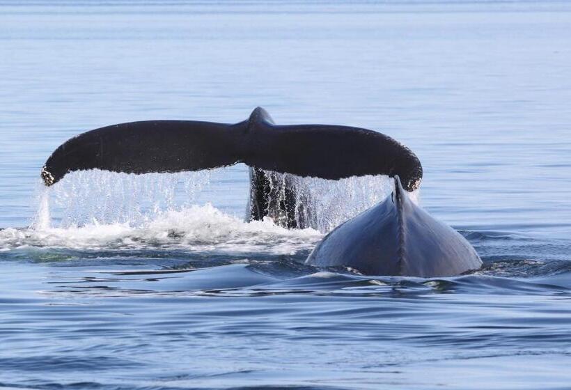 침실 1개 주택, La Merveilleuse   House And Pavilions