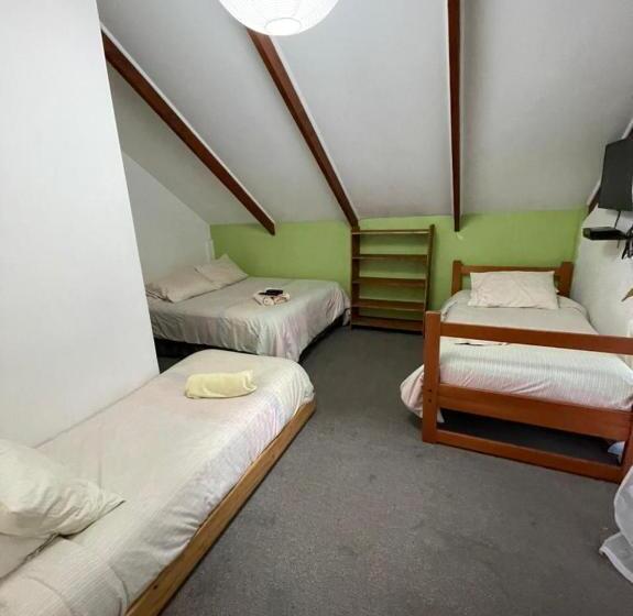 패밀리 룸, Pucontours Hostal   Hostel