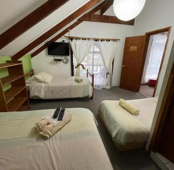 패밀리 룸, Pucontours Hostal   Hostel