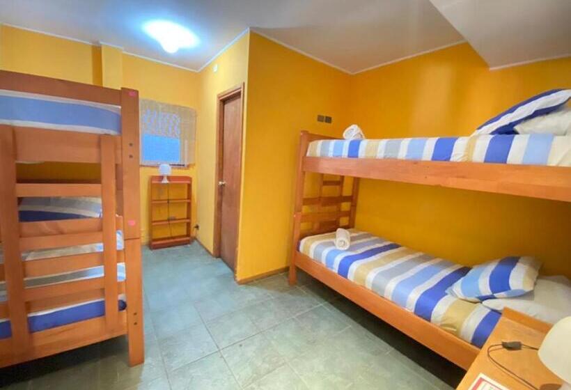 غرفة قياسية رباعية, Pucontours Hostal   Hostel