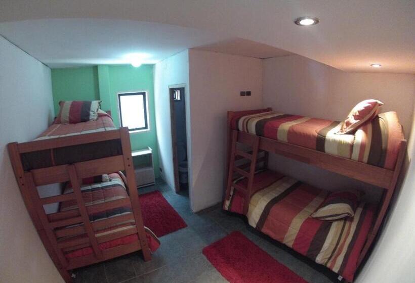 غرفة قياسية رباعية, Pucontours Hostal   Hostel