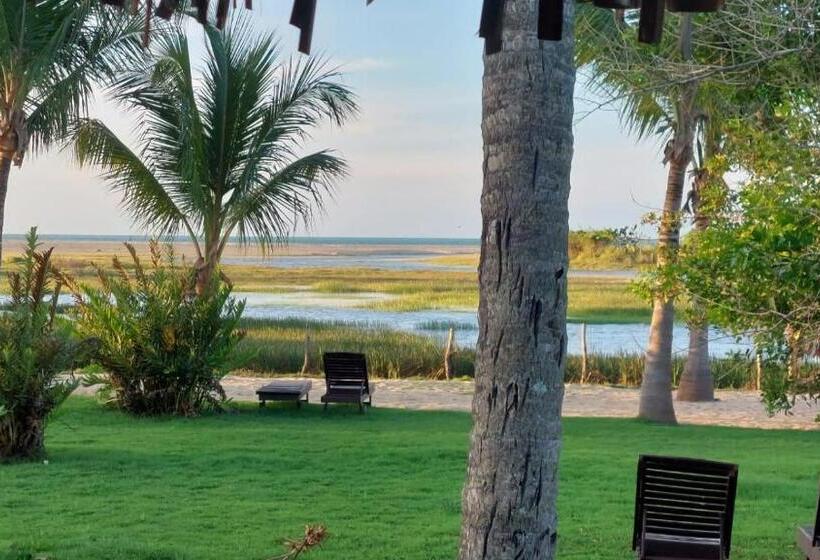 Бунгало Deluxe, Bangalô Kauli Seadi Eco Resort