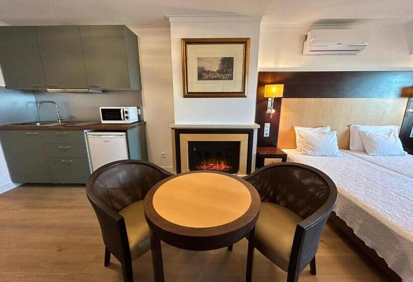 Студия Deluxe, Discovery Apartment Carnaxide