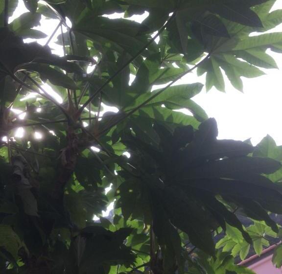 스탠다드 룸 가든 전망, In Tracastello   Air Cond   Parking Not Included