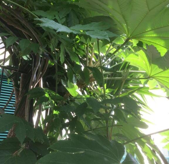 스탠다드 룸 가든 전망, In Tracastello   Air Cond   Parking Not Included