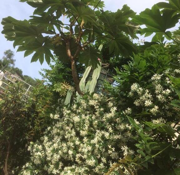 스탠다드 룸 가든 전망, In Tracastello   Air Cond   Parking Not Included