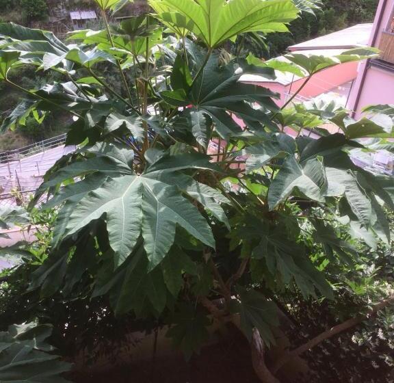 가든 전망 주니어 스위트, In Tracastello   Air Cond   Parking Not Included