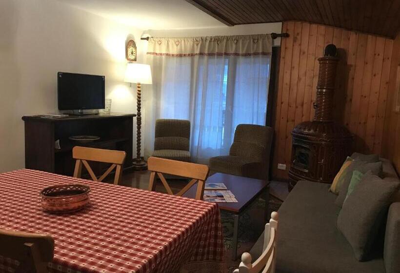 带1个卧室带观景的公寓, Residence Alpen Casavacanze