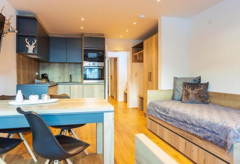 آپارتمان 1 خوابه, Apartments Mooshof