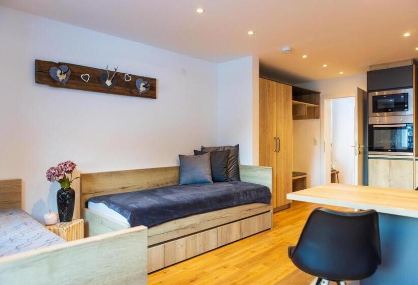 آپارتمان 2 خوابه, Apartments Mooshof