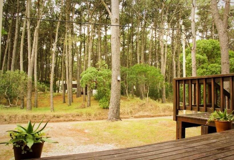 스탠다드 스튜디오, Cabañas Sottobosco