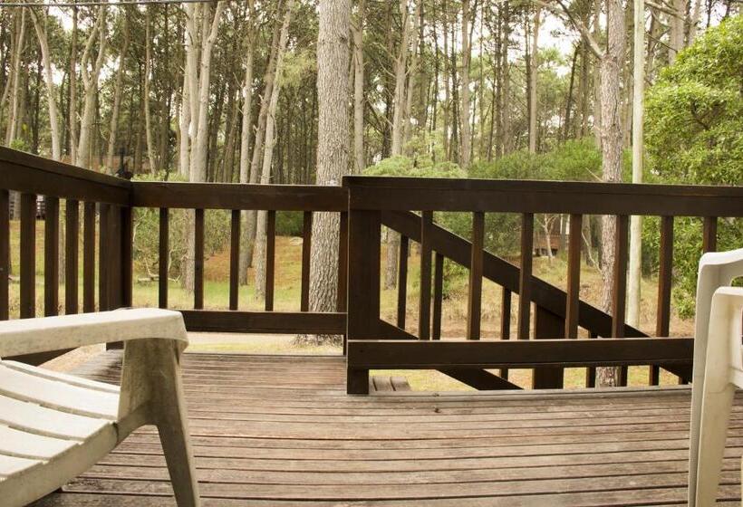 침실 2개 아파트, Cabañas Sottobosco