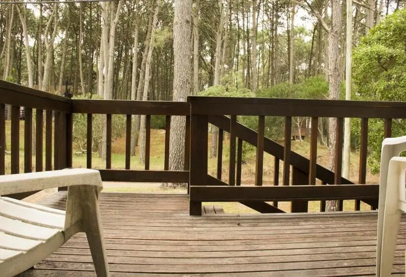 آپارتمان 2 خوابه, Cabañas Sottobosco