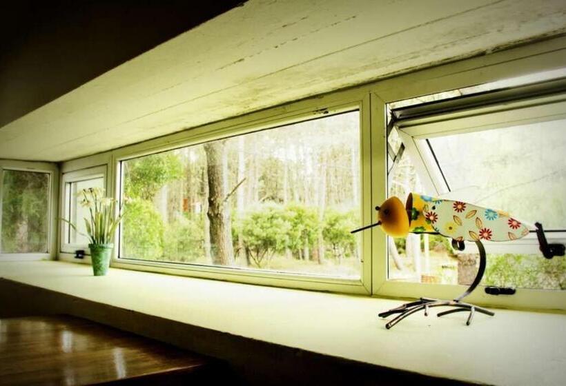 침실 2개 아파트, Cabañas Sottobosco